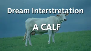 Dream interpretation of a calf secrets of dreams what does a calf . 5a3563be