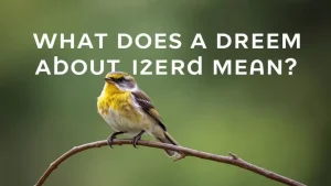 What does a dream about a little bird mean dreams secrets what doe. 6ab03f80