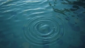 What does murky water mean in a dream the symbolism of murky water in dreams