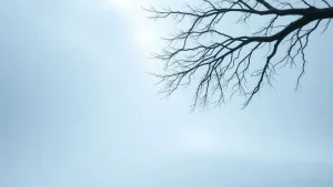 Dreamed of the white color dreams about the white color mysteries and meaning